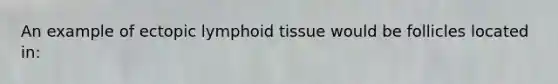 An example of ectopic lymphoid tissue would be follicles located in: