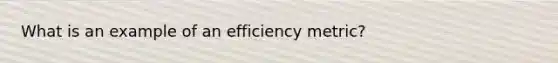 What is an example of an efficiency metric?