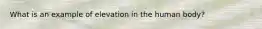 What is an example of elevation in the human body?