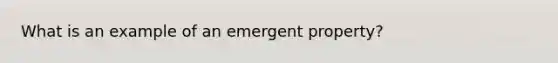 What is an example of an emergent property?