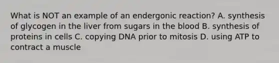 What is NOT an example of an endergonic reaction? A. synthesis of glycogen in the liver from sugars in the blood B. synthesis of proteins in cells C. copying DNA prior to mitosis D. using ATP to contract a muscle