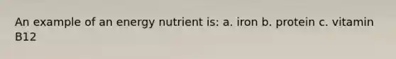 An example of an energy nutrient is: a. iron b. protein c. vitamin B12