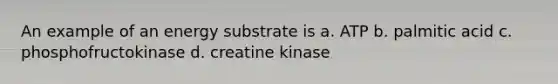 An example of an energy substrate is a. ATP b. palmitic acid c. phosphofructokinase d. creatine kinase