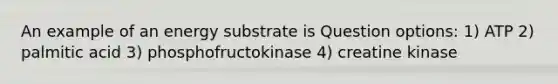 An example of an energy substrate is Question options: 1) ATP 2) palmitic acid 3) phosphofructokinase 4) creatine kinase