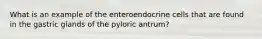 What is an example of the enteroendocrine cells that are found in the gastric glands of the pyloric antrum?