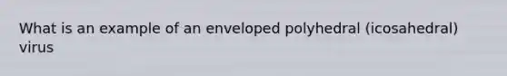 What is an example of an enveloped polyhedral (icosahedral) virus