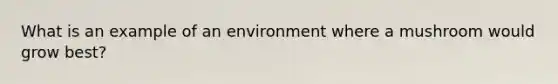 What is an example of an environment where a mushroom would grow best?