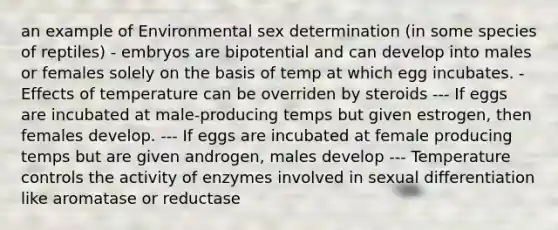 an example of Environmental sex determination (in some species of reptiles) - embryos are bipotential and can develop into males or females solely on the basis of temp at which egg incubates. -Effects of temperature can be overriden by steroids --- If eggs are incubated at male-producing temps but given estrogen, then females develop. --- If eggs are incubated at female producing temps but are given androgen, males develop --- Temperature controls the activity of enzymes involved in sexual differentiation like aromatase or reductase