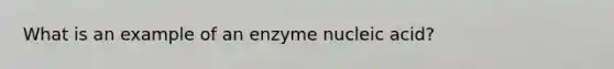 What is an example of an enzyme nucleic acid?