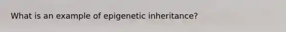 What is an example of epigenetic inheritance?