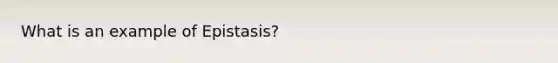 What is an example of Epistasis?