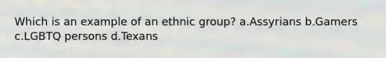 Which is an example of an ethnic group? a.Assyrians b.Gamers c.LGBTQ persons d.Texans