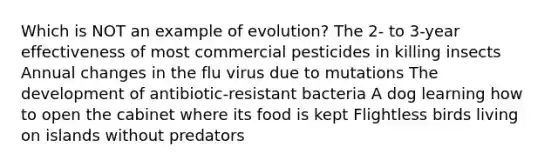 Which is NOT an example of evolution? The 2- to 3-year effectiveness of most commercial pesticides in killing insects Annual changes in the flu virus due to mutations The development of antibiotic-resistant bacteria A dog learning how to open the cabinet where its food is kept Flightless birds living on islands without predators