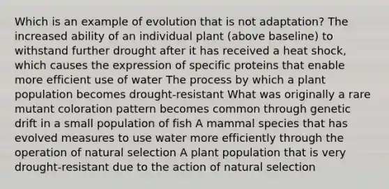 Which is an example of evolution that is not adaptation? The increased ability of an individual plant (above baseline) to withstand further drought after it has received a heat shock, which causes the expression of specific proteins that enable more efficient use of water The process by which a plant population becomes drought-resistant What was originally a rare mutant coloration pattern becomes common through genetic drift in a small population of fish A mammal species that has evolved measures to use water more efficiently through the operation of natural selection A plant population that is very drought-resistant due to the action of natural selection