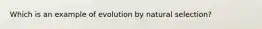 Which is an example of evolution by natural selection?