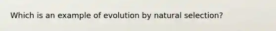 Which is an example of evolution by natural selection?