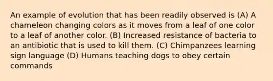 An example of evolution that has been readily observed is (A) A chameleon changing colors as it moves from a leaf of one color to a leaf of another color. (B) Increased resistance of bacteria to an antibiotic that is used to kill them. (C) Chimpanzees learning sign language (D) Humans teaching dogs to obey certain commands