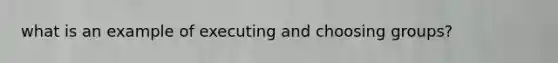 what is an example of executing and choosing groups?