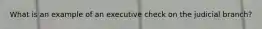 What is an example of an executive check on the judicial branch?