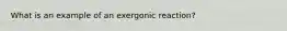 What is an example of an exergonic reaction?