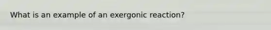 What is an example of an exergonic reaction?