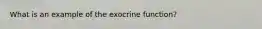 What is an example of the exocrine function?