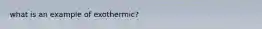 what is an example of exothermic?