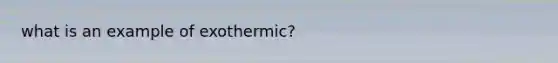 what is an example of exothermic?