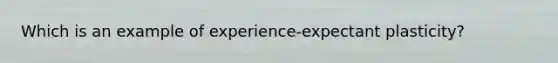 Which is an example of experience-expectant plasticity?