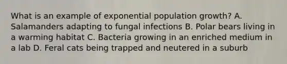 What is an example of exponential population growth? A. Salamanders adapting to fungal infections B. Polar bears living in a warming habitat C. Bacteria growing in an enriched medium in a lab D. Feral cats being trapped and neutered in a suburb