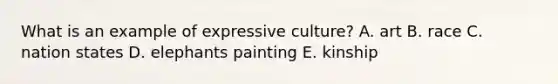 What is an example of expressive culture? A. art B. race C. nation states D. elephants painting E. kinship