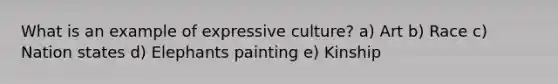 What is an example of expressive culture? a) Art b) Race c) Nation states d) Elephants painting e) Kinship