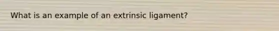 What is an example of an extrinsic ligament?