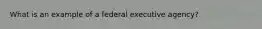 What is an example of a federal executive agency?