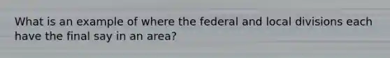 What is an example of where the federal and local divisions each have the final say in an area?