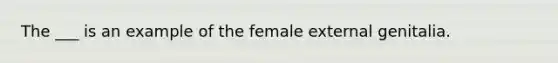 The ___ is an example of the female external genitalia.