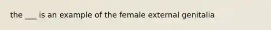 the ___ is an example of the female external genitalia