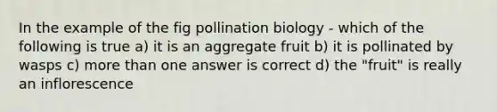 In the example of the fig pollination biology - which of the following is true a) it is an aggregate fruit b) it is pollinated by wasps c) <a href='https://www.questionai.com/knowledge/keWHlEPx42-more-than' class='anchor-knowledge'>more than</a> one answer is correct d) the "fruit" is really an inflorescence