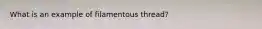 What is an example of filamentous thread?