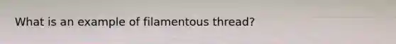 What is an example of filamentous thread?