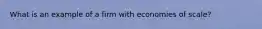 What is an example of a firm with economies of scale?