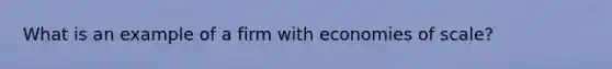 What is an example of a firm with economies of scale?