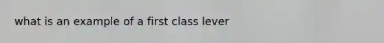 what is an example of a first class lever