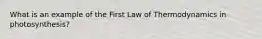 What is an example of the First Law of Thermodynamics in photosynthesis?