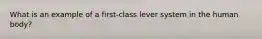 What is an example of a first-class lever system in the human body?