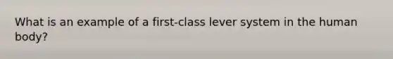 What is an example of a first-class lever system in the human body?