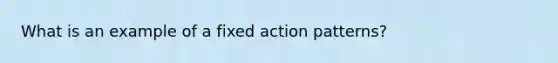 What is an example of a fixed action patterns?