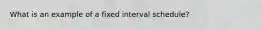 What is an example of a fixed interval schedule?