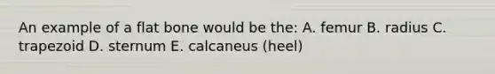 An example of a flat bone would be the: A. femur B. radius C. trapezoid D. sternum E. calcaneus (heel)