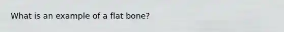 What is an example of a flat bone?